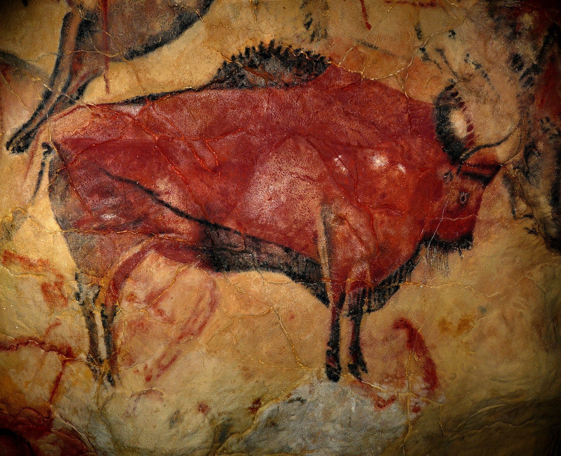 Le musée de la Préhistoire